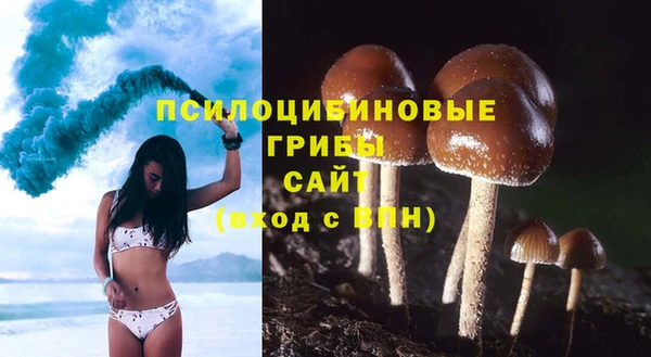 бутират Вязники