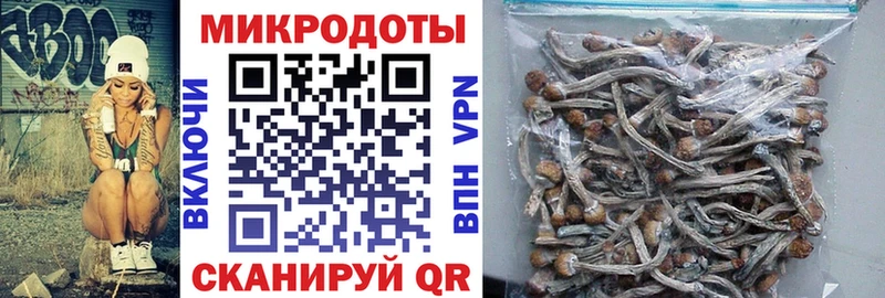 Галлюциногенные грибы мицелий  Купить  Зубцов 
